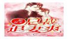 一胎双宝老婆大人你别跑778集